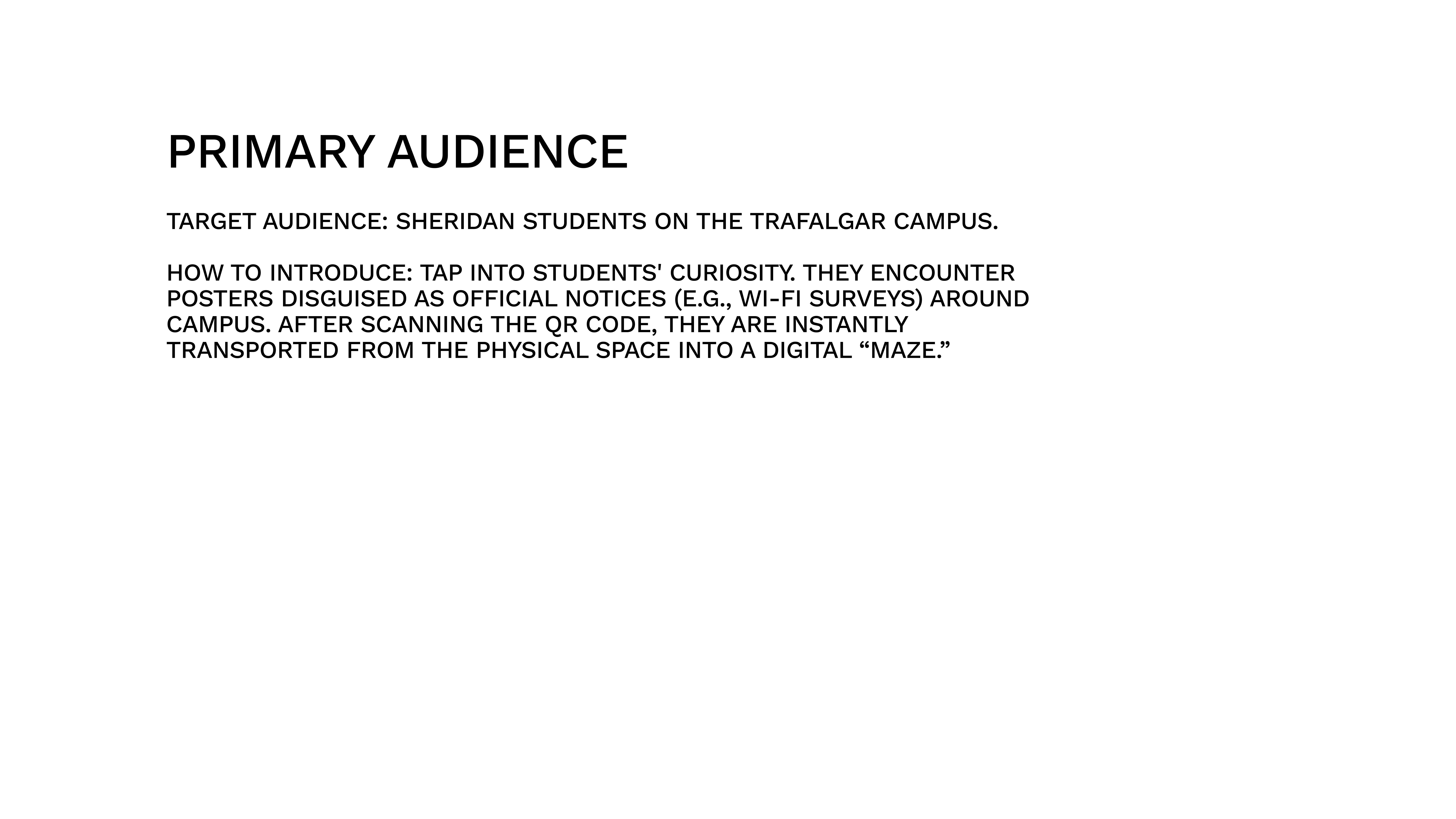 Primary users and audience analysis